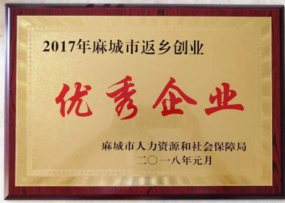 返乡创业优秀企业