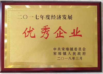 经济发展优秀企业