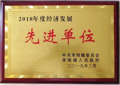 经济发展先进单位