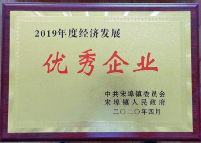 经济发展优秀企业